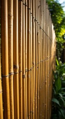 Golden Bamboo Fence in Sunlight Closeup View