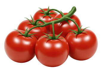 Isolated Tomatoes on the Vine with Fresh Green Leaves