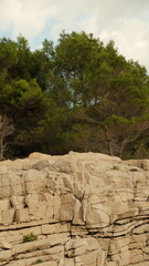 Close-up of layered limestone rock formations with sparse vegetation, set against a backdrop of Mediterranean pine trees and a partly cloudy sky.