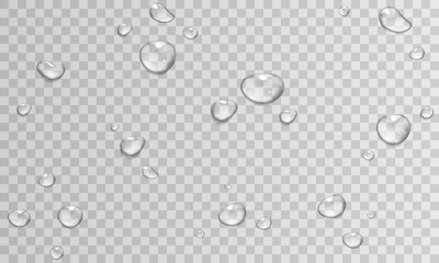 Vector Water Drops on Glass. Realistic Rain Drops on Transparent Background. Stock royalty free