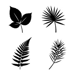 Silhouette Collection: Maple, Oak, Fern, and Willow Leaves; Minimalist Botanical Illustrations; Elegant Black and White Design.
