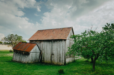 Rustic rural house in spring nature, green meadow and old barn beside