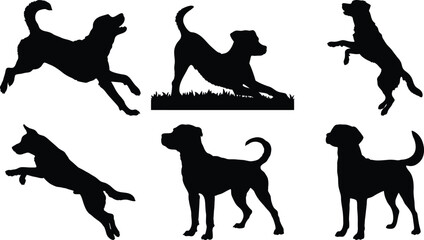 Energetic Dog Poses