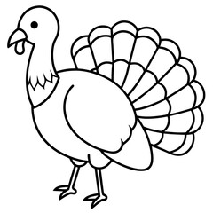 Minimalist Turkey Line Art 