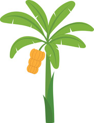 isolated banana tree with banana branch fruit illustration