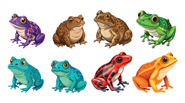 Collection of colorful cartoon frogs and toads isolated on white background