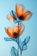 Obraz premium Ethereal Floral Beauty An Abstract Composition of Soft Pastel Petals and Dreamy Blooms in Harmony