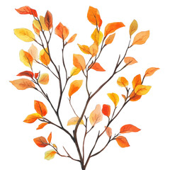 Sunlight Through Autumn Branches, watercolor illustration vector, isolated on a white background.