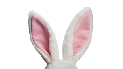 White Rabbit Bunny Ears