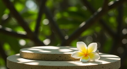 Fototapeta premium Plumeria blossom on a stone pedestal against a blurred green backdrop provides a natural beauty and serene feeling.
