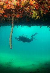 a diver diving a shipwreck on a caribbean island
