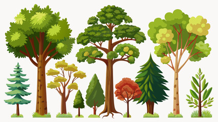 A curated set of green trees stands alone, each isolated on a pristine white background. The tree collection represents different kinds with careful design, reflecting seasonal stillness and natural e