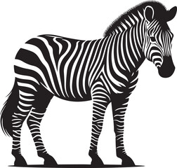 Obraz premium A silhouette zebra vector