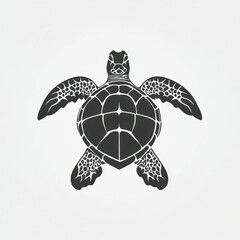 Fototapeta premium Black and white illustration of a turtle showcasing detailed shell and flippers design