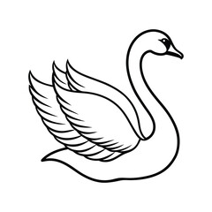 black swan vector illustration