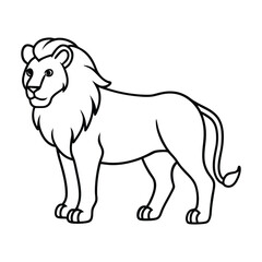lion vector illustration