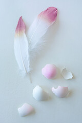 Soft feathers and eggshells pink and white