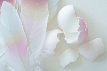Soft pink feathers and eggshells on white background