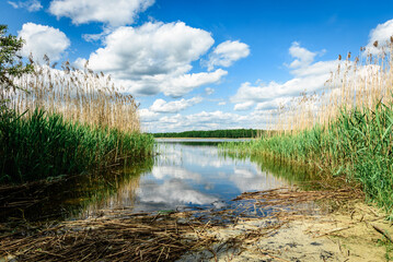 Beautiful landscape of the Braslav lakes on a sunny summer day.