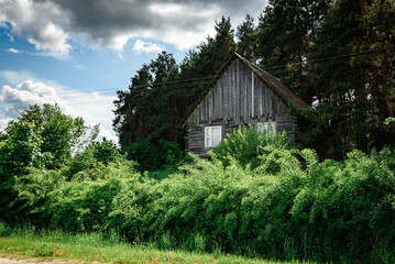 An old wooden house on the background of a dense forest.