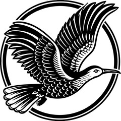 Crane Flight Illustration Guide