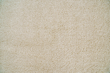 close-up. beige Interior pile carpet made of polypropylene.