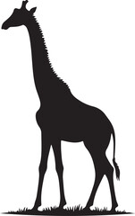Fototapeta premium A silhouette ziraff vector 