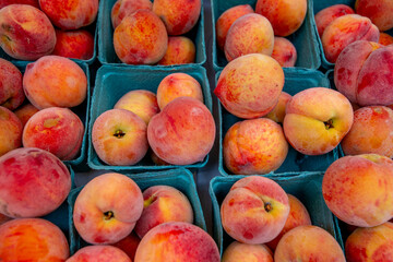 Green fiber containers of fresh ripe yellow peaches at a farmers market