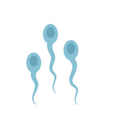 Sperma cells 