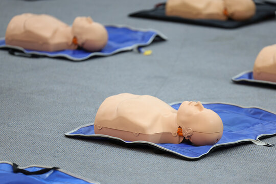 Model manikin use for practice during Emergency courses . Demonstrating Cardiopulmonary resuscitation training medical procedure on CPR doll in the class.First aid for safe life concept for people.