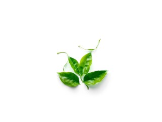 Fototapeta premium Recycling Leaves Icon on Light Background – Eco-Friendly Concept of Sustainable Production, Eco Plastic, and Green Fuel (AI Generated)