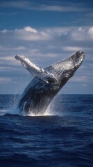 Naklejka premium Humpback whale breaching in mid-air above ocean waves with dramatic splash under clear blue sky perfect for wildlife photography, nature documentaries and ocean conservation themes