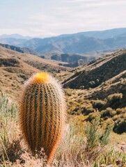 A vibrant golden barrel cactus in the foreground of a vast, arid mountain landscape, showcasing the beauty and resilience of desert flora