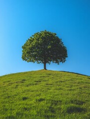 Solitary tree with lush green foliage atop a grassy hill against a vivid blue sky, symbolizing growth, strength, and natural beauty in a minimalist landscape