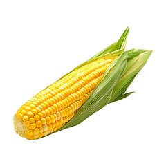 Fresh Yellow Corn on the Cob A Vibrant Detailed Closeup On Transparent Background