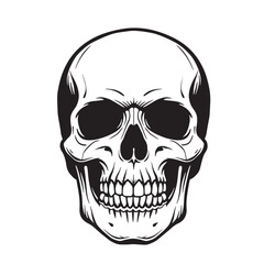 Detailed vintage art silhouette of a human skull showcasing intricate bone structure and artistic representation for design