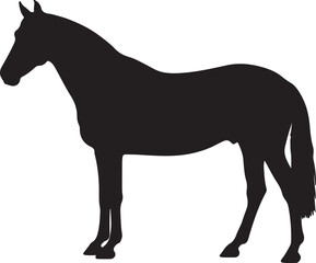 Abaga horse in silhouette vector pure white background.