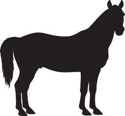 Albanian horse in silhouette vector pure white background.