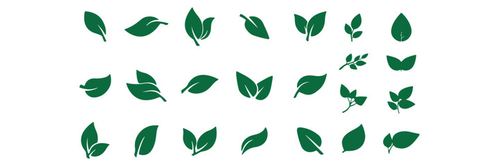 Leaf Icon Set. Botanical Silhouettes and Plant Symbols Collection