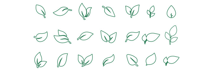 Leaf Icon Set. Botanical Silhouettes and Plant Symbols Collection