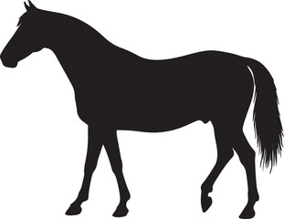 American Walking Pony in silhouette vector pure white background.