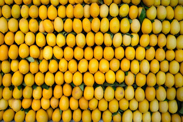 Fresh yellow ripe lemons for sale. Summer tropical food, fresh fruit, harvest, healthy food concept
