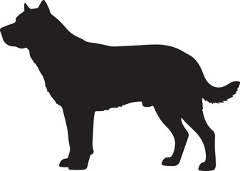 Boerperd in silhouette vector pure white background.