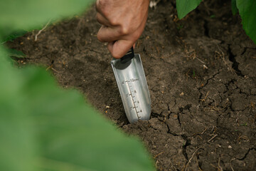 Close-up of a male hand holding an agronomic shovel inserted into the soil.  Soil testing, farming...