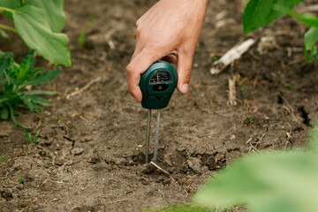 Close-up of a male hand holding a soil moisture meter inserted into the ground. Soil moisture...