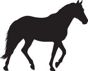 Obraz premium Brazilian Sport Horse in silhouette vector pure white background.