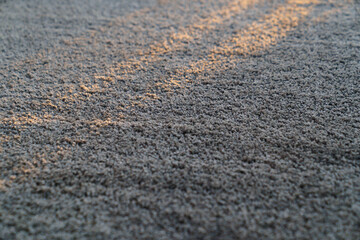 close-up. dark gray Interior pile carpet made of polypropylene.
