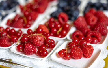 Close-up of mini bowls with raspberries and red currants. Fresh berry snacks for party or catering. Blueberries blurred in background. Bright and juicy summer treat