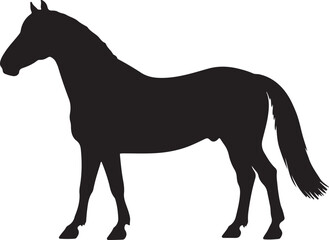 Breton horse in silhouette vector pure white bacground.