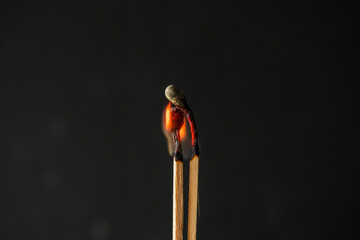 Burning matches. Abstract concept of burnout in couple, dark background